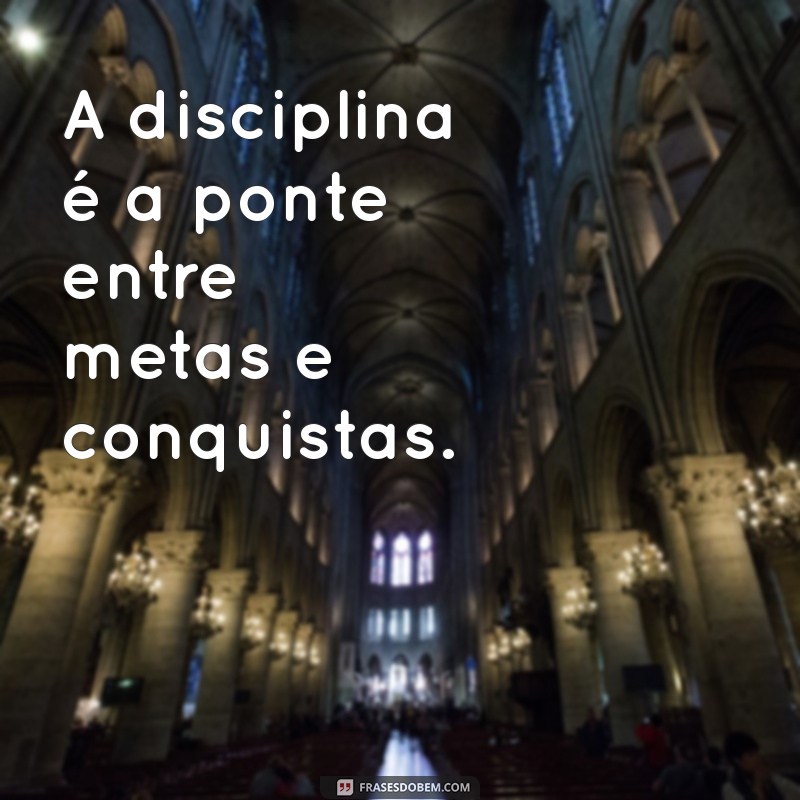 Frases Poderosas de Macho Alfa para Inspirar Confiança e Liderança 