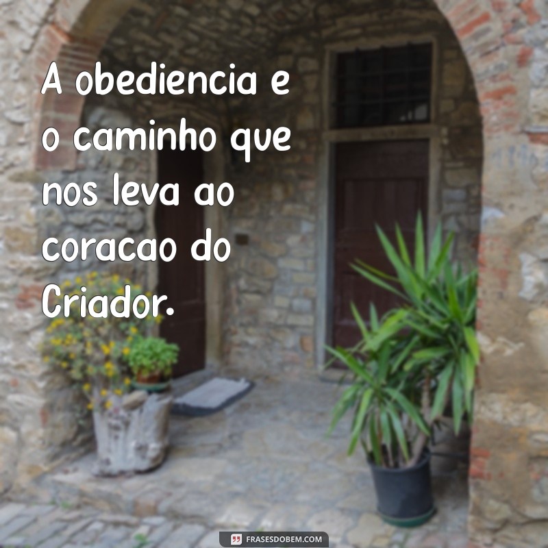 Salmos 50:23 - O Caminho para a Verdadeira Gratidão e Louvor 