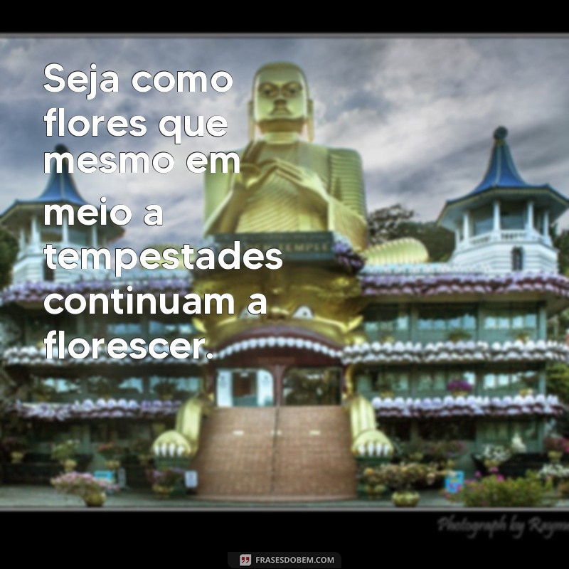 Frases Inspiradoras para Transmitir Felicidade no Tumblr 