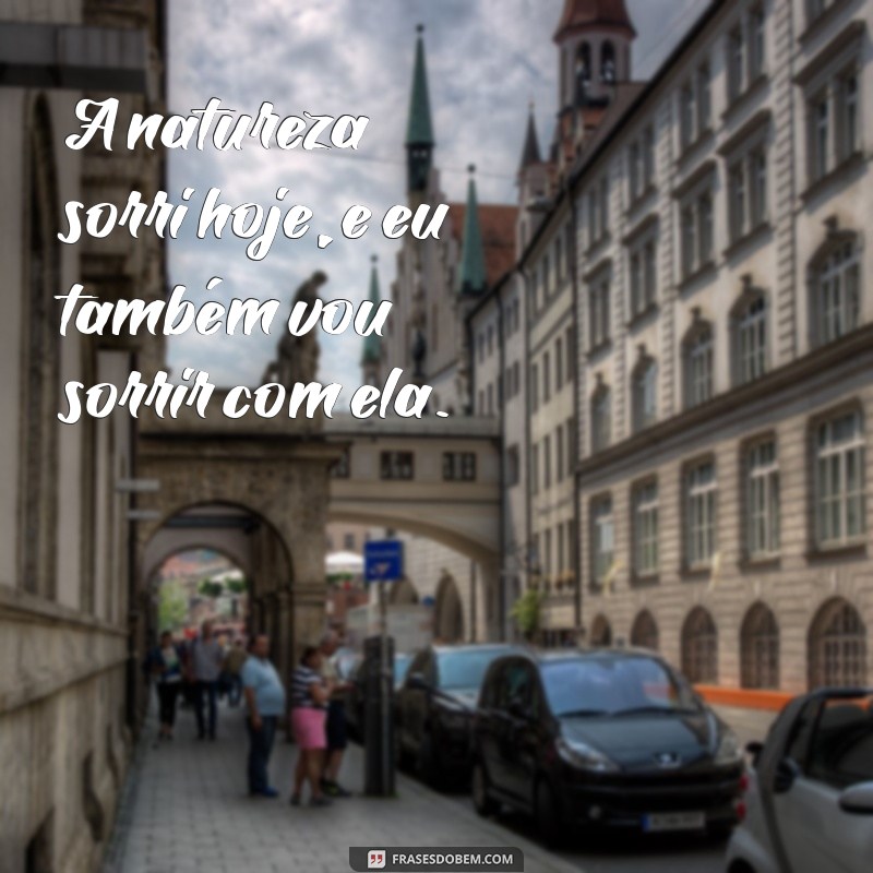 Frases Inspiradoras para Celebrar um Dia Lindo e Apreciar a Vida 