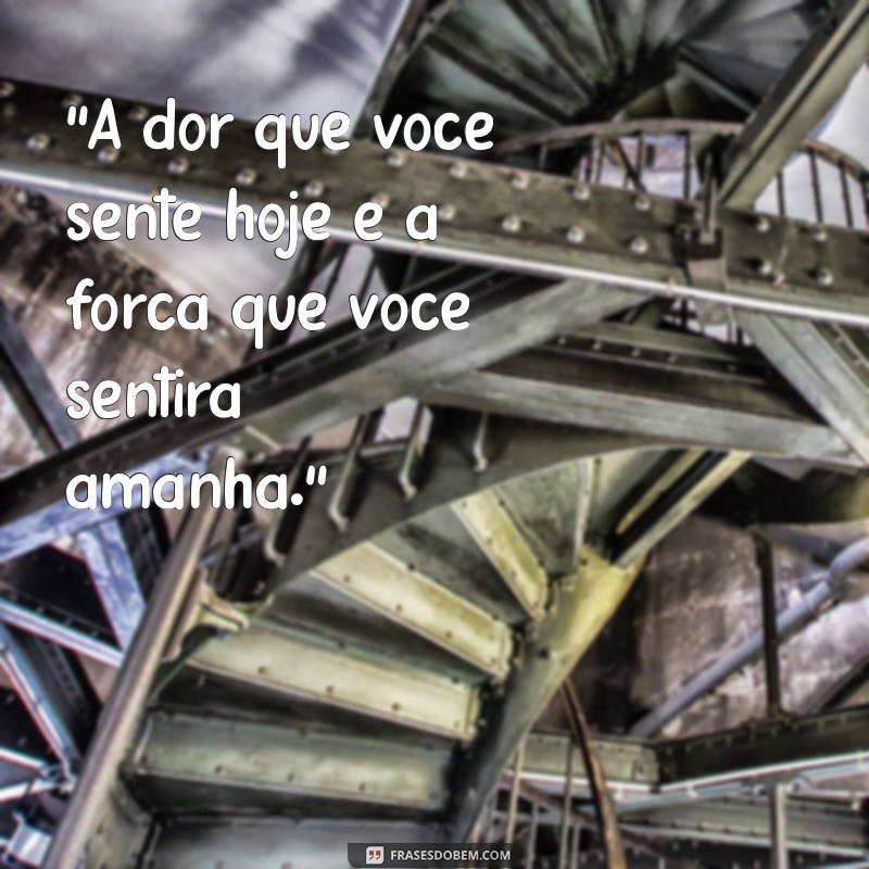 frases para musculação 