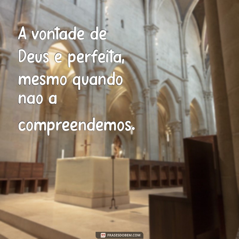 a vontade de deus e perfeita A vontade de Deus é perfeita, mesmo quando não a compreendemos.