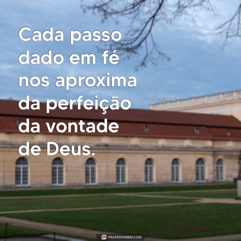 A Vontade de Deus é Perfeita: Entenda Seu Propósito em Sua Vida 