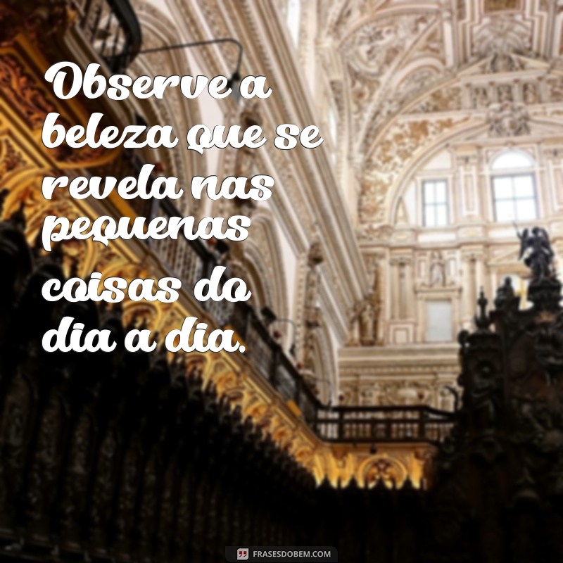 observe a frases Observe a beleza que se revela nas pequenas coisas do dia a dia.