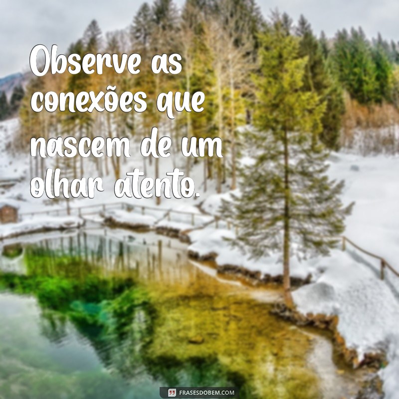 Frases Inspiradoras para Observar e Refletir no Dia a Dia 