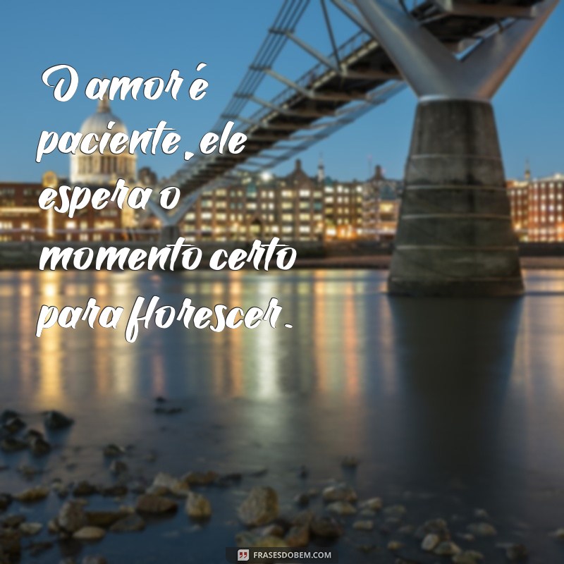 salmo amor é paciente O amor é paciente, ele espera o momento certo para florescer.