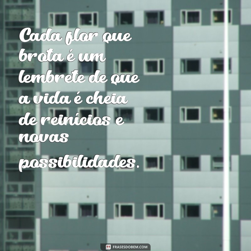 Flores que Falam: Mensagens Inspiradoras para Cada Ocasião 