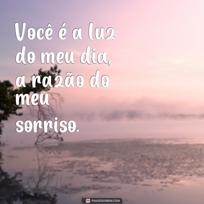 frases super fofos Você é a luz do meu dia, a razão do meu sorriso.