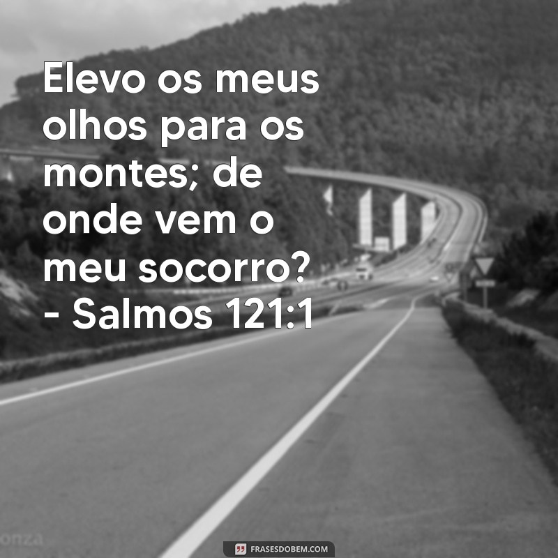 Frases Inspiradoras dos Salmos: Mensagens Bíblicas para Seu Status 