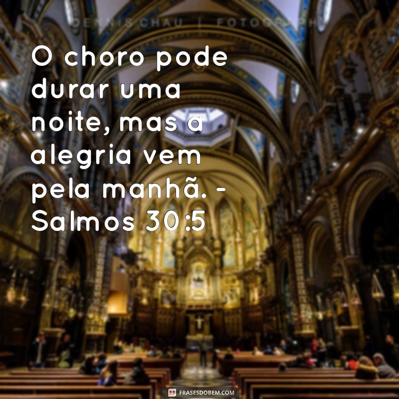 Frases Inspiradoras dos Salmos: Mensagens Bíblicas para Seu Status 