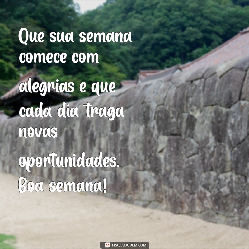 boa semana e bom dia Que sua semana comece com alegrias e que cada dia traga novas oportunidades. Boa semana!