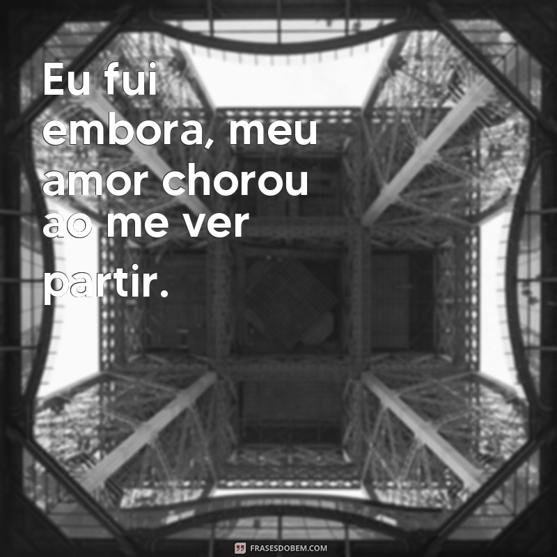 frases eu fui embora meu amor chorou Eu fui embora, meu amor chorou ao me ver partir.