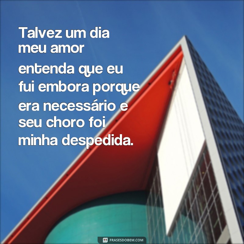 Descubra as melhores frases para expressar o adeus: Eu fui embora e meu amor chorou 