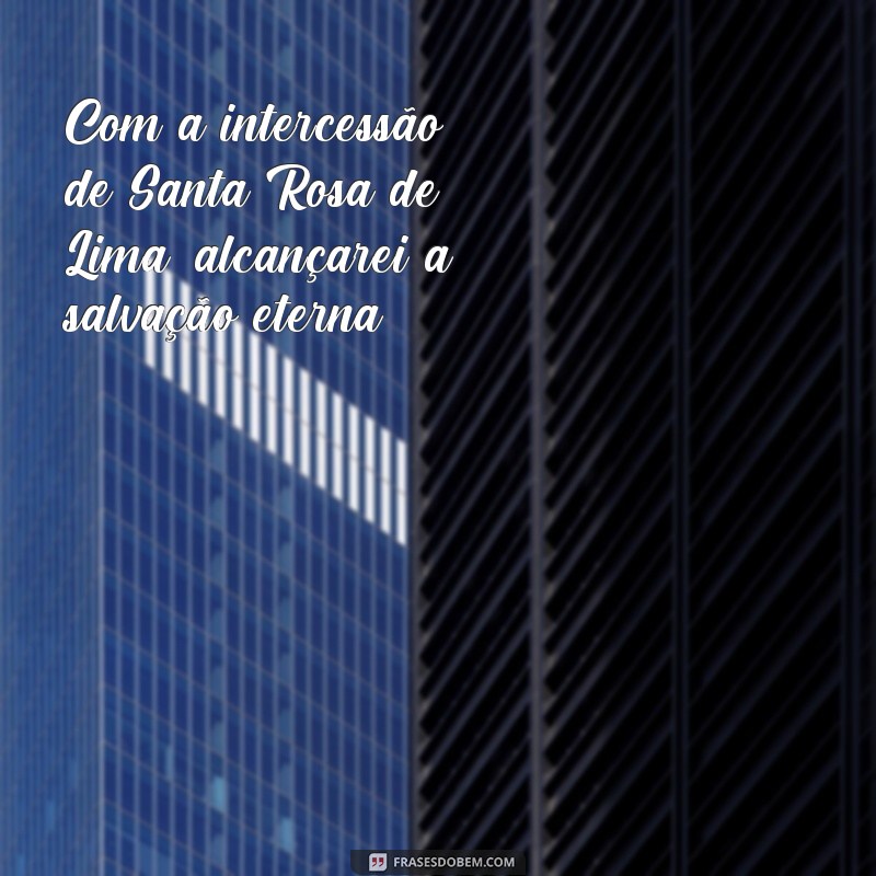 Conheça as melhores frases de Santa Rosa de Lima para inspirar sua vida 