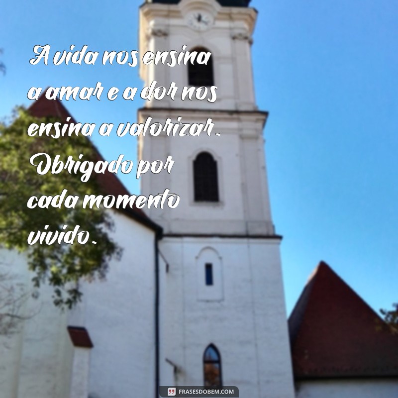 Como Lidar com a Perda: Mensagens de Conforto e Sentimento em Momentos Difíceis 