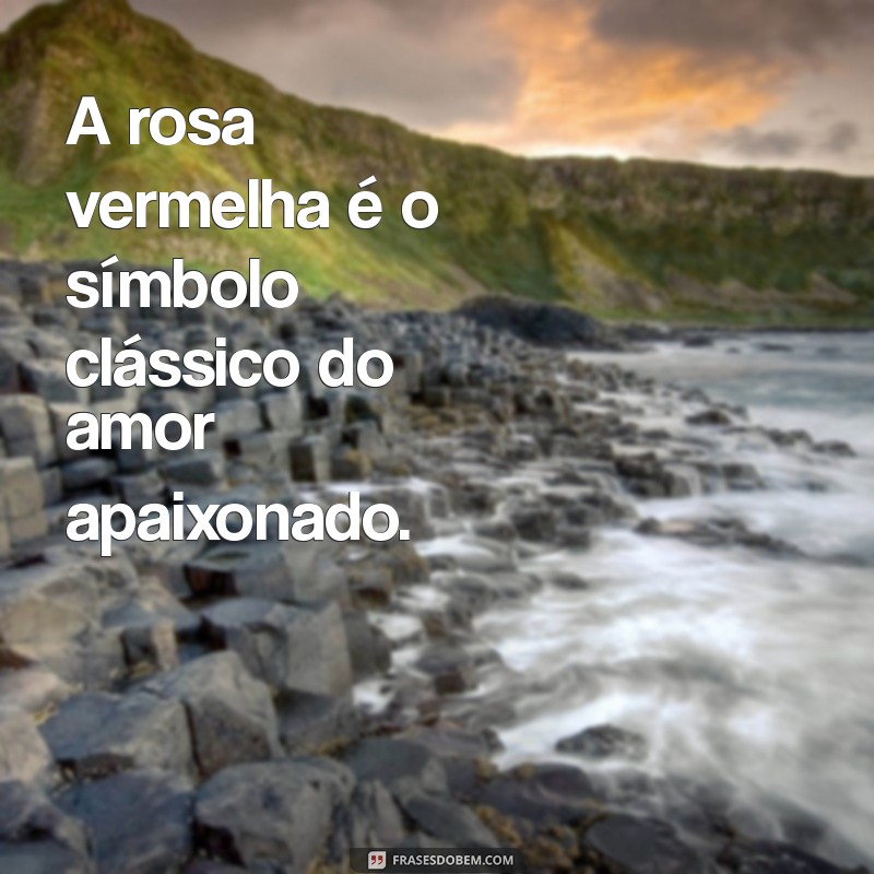 qual flor representa o amor A rosa vermelha é o símbolo clássico do amor apaixonado.