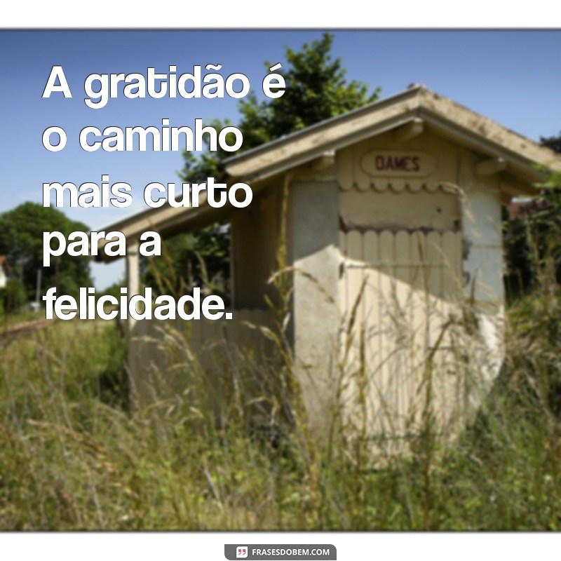 50 Frases Inspiradoras de Gratidão para Compartilhar no Tumblr 