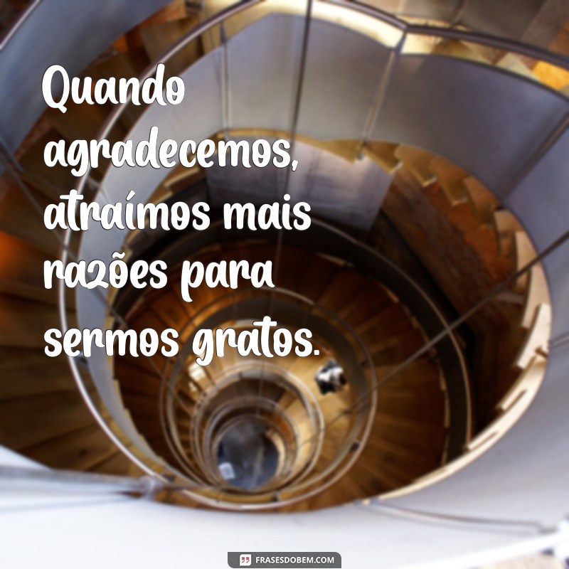 50 Frases Inspiradoras de Gratidão para Compartilhar no Tumblr 