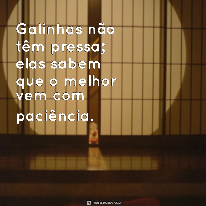 Frases Engraçadas e Inspiradoras sobre Galinhas: Divirta-se com Nossas Melhores Seleções! 