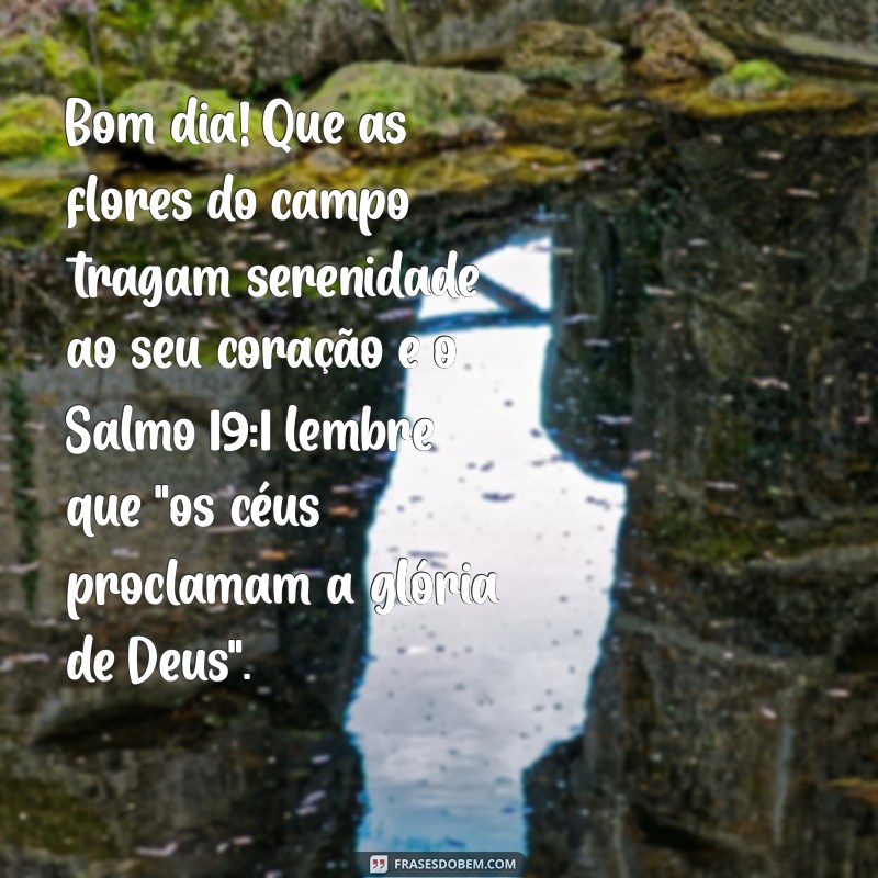 bom dia com salmos e flores Bom dia! Que as flores do campo tragam serenidade ao seu coração e o Salmo 19:1 lembre que 