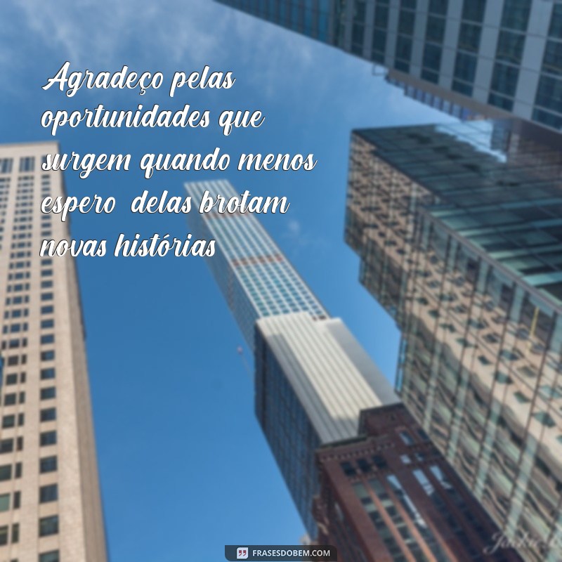 30 Frases Inspiradoras de Agradecimento pela Vida para Compartilhar 