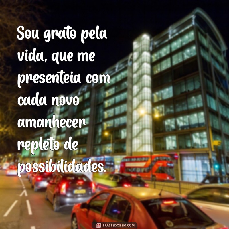 frases de agradecimento pela vida Sou grato pela vida, que me presenteia com cada novo amanhecer repleto de possibilidades.