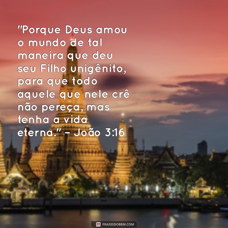 versiculo sobre o amor de jesus 