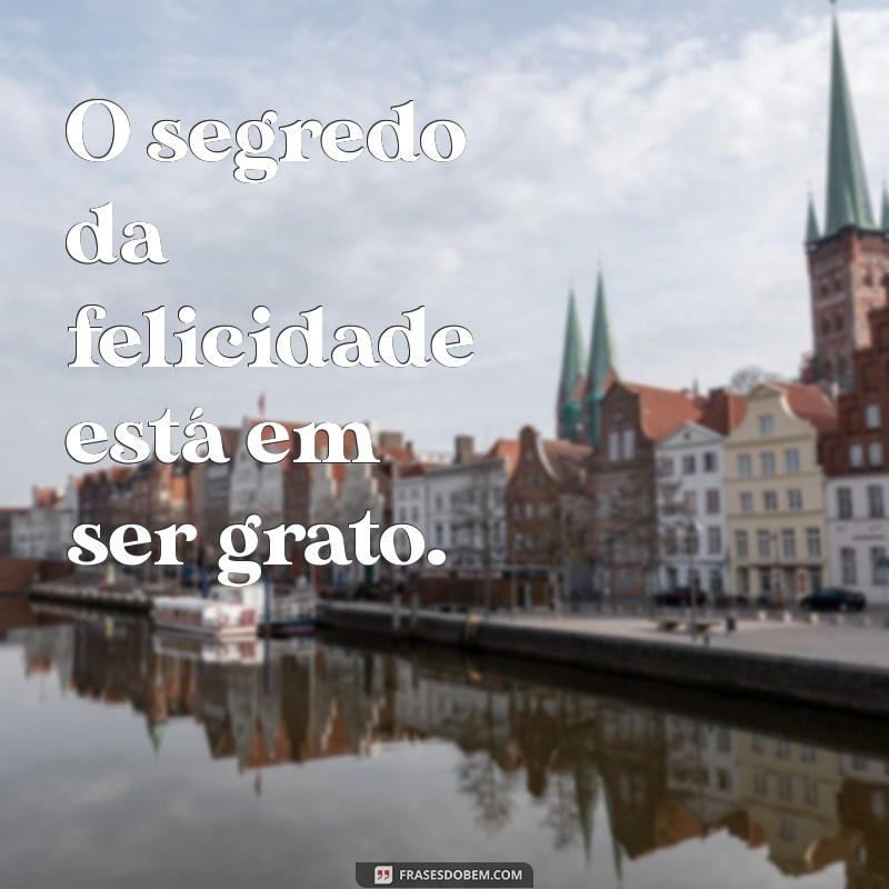 As Melhores Frases de Gratidão para Inspirar Seu Tumblr 