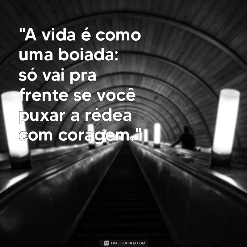 frases boiadeira 