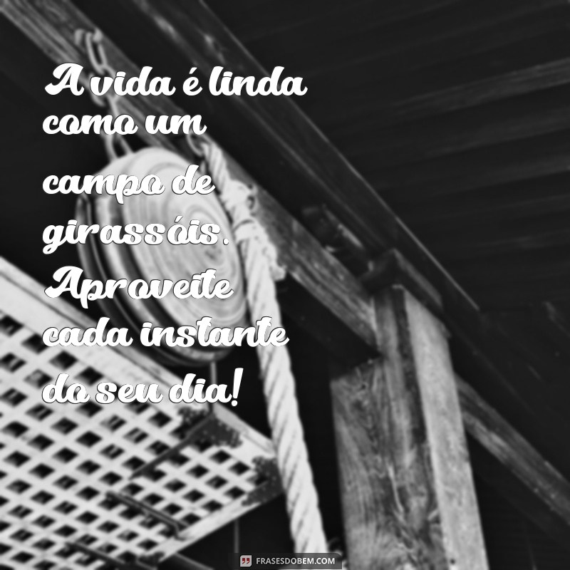 Frases Inspiradoras de Bom Dia com Girassóis para Iluminar Seu Dia 