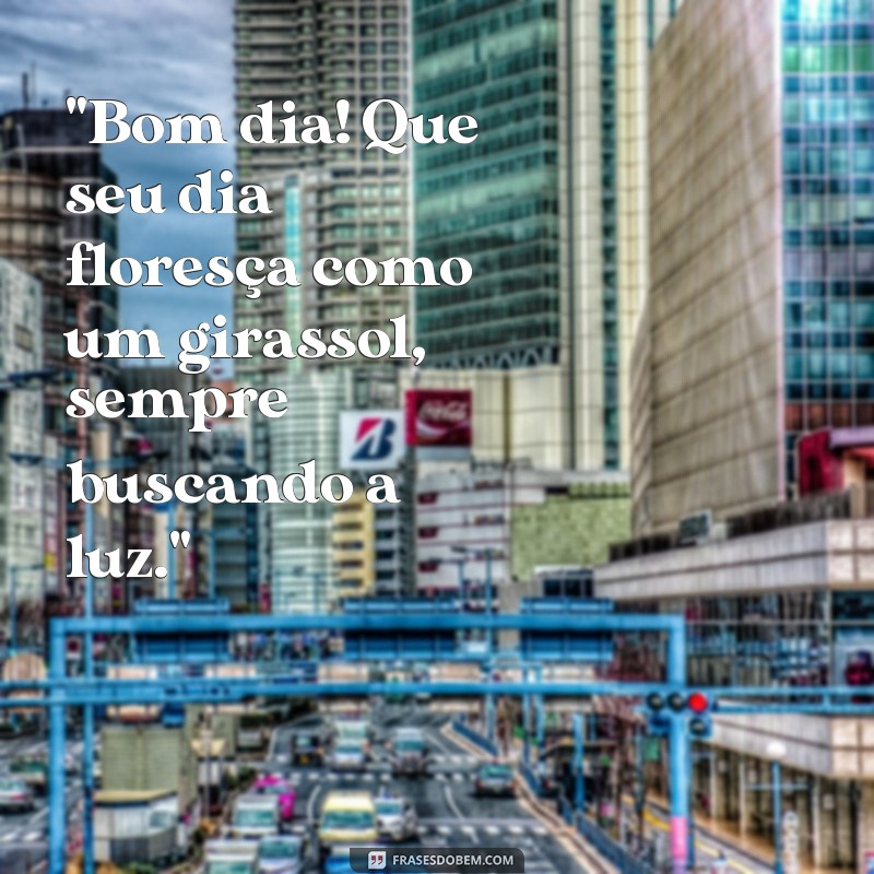 frases de bom dia com girassol 