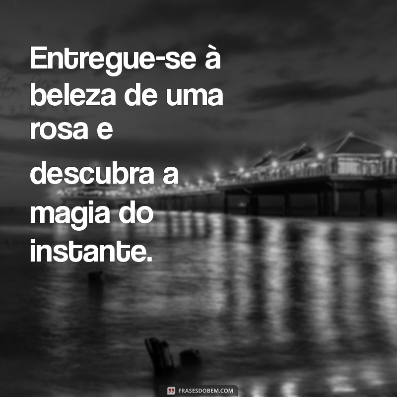 Frases Inspiradoras para Celebrar a Beleza das Rosas 