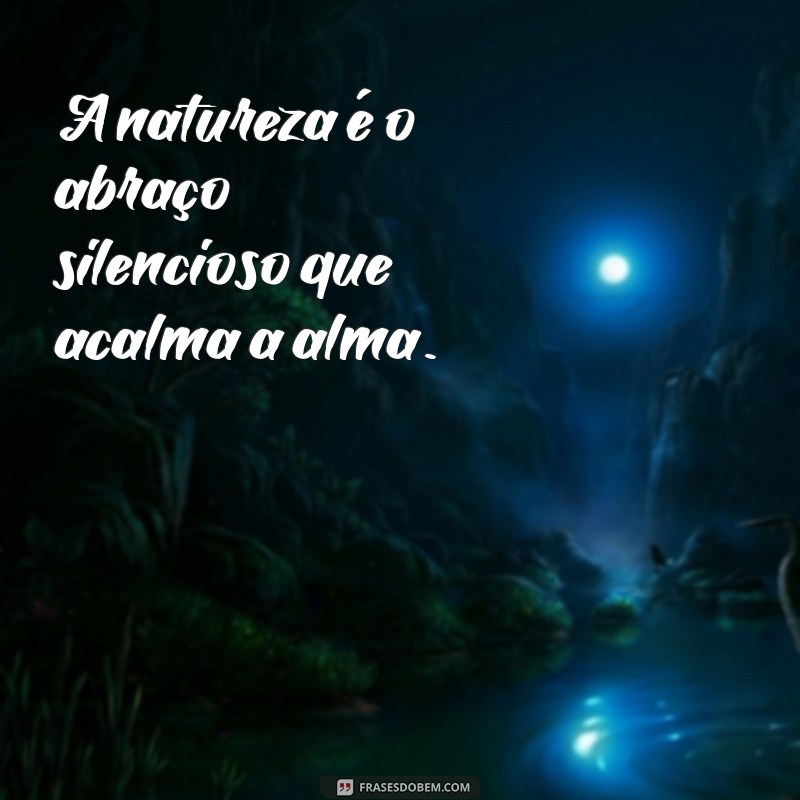 frases natureza e paz A natureza é o abraço silencioso que acalma a alma.