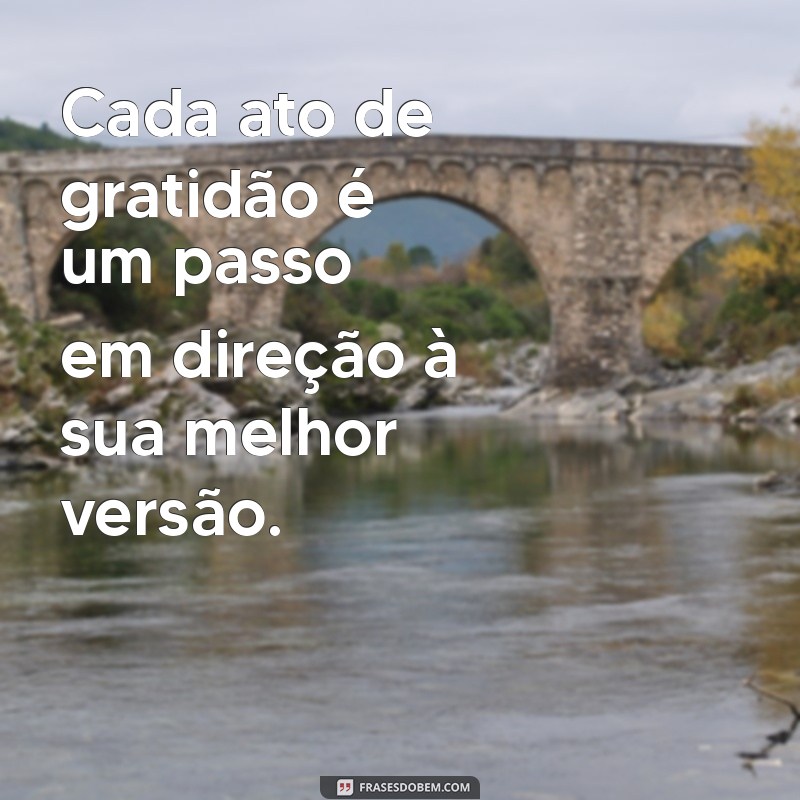 30 Frases de Gratidão Motivacional para Inspirar Seu Dia 