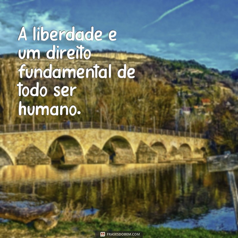 frases de liberdade pjl A liberdade é um direito fundamental de todo ser humano.