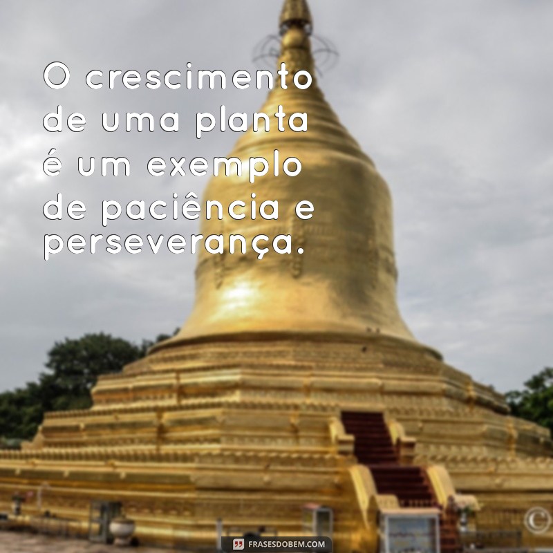 Frases Inspiradoras sobre a Natureza: Conecte-se com o Mundo Natural 