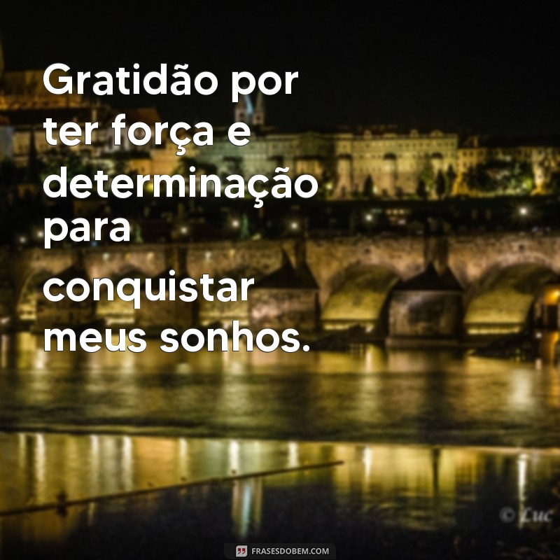 Descubra as melhores frases de gratidão para celebrar suas conquistas 