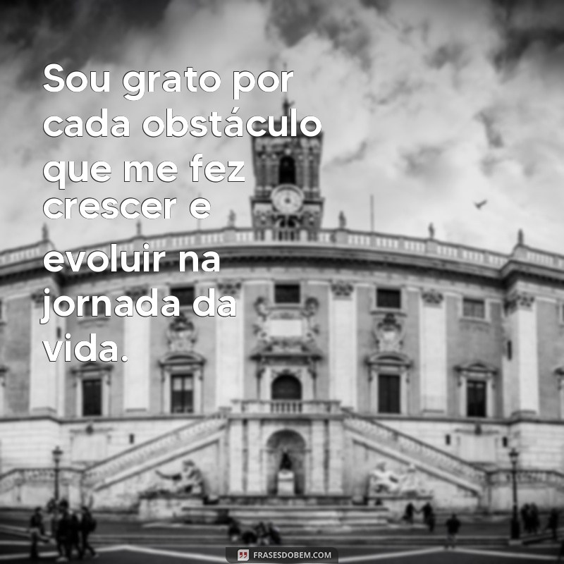 Descubra as melhores frases de gratidão para celebrar suas conquistas 