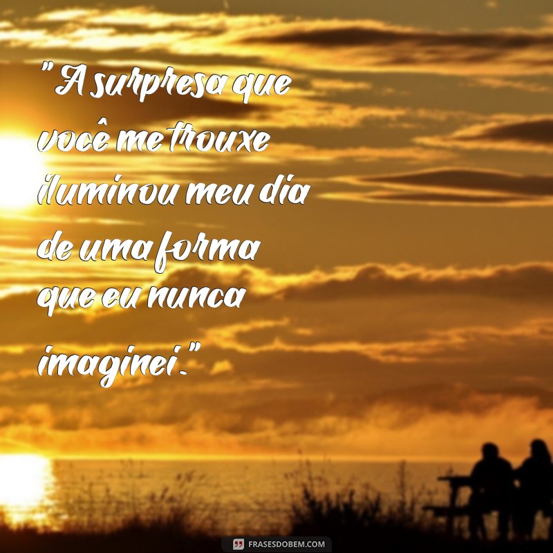 frases amei a surpresa 