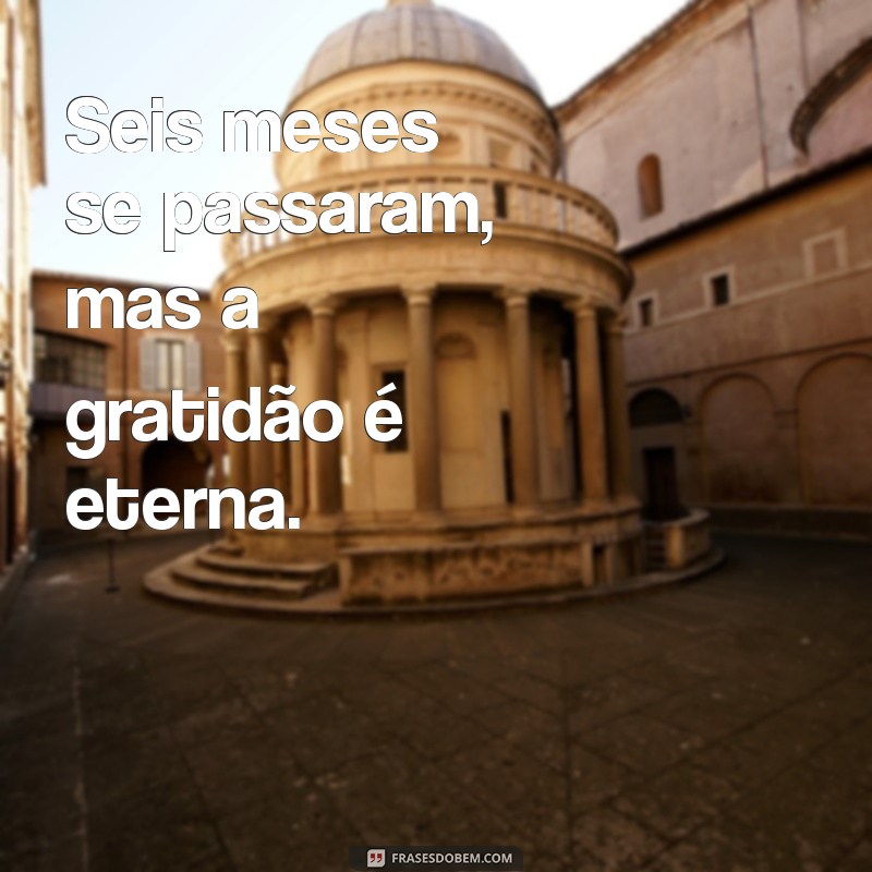 Frases Inspiradoras para Celebrar os 6 Meses do Seu Bebê 