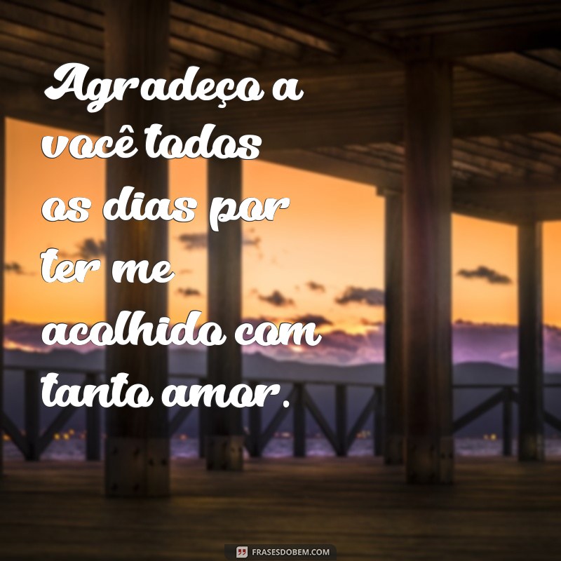 Frases Criativas e Engraçadas para Sogra: Encante e Surpreenda! 