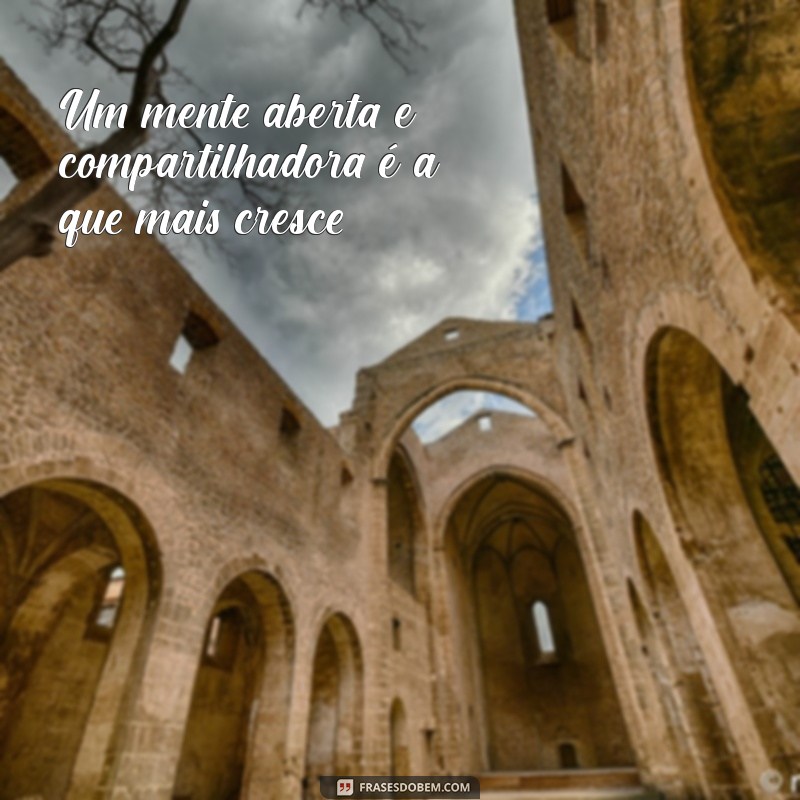 22 Frases Inspiradoras sobre o Poder do Conhecimento Compartilhado 