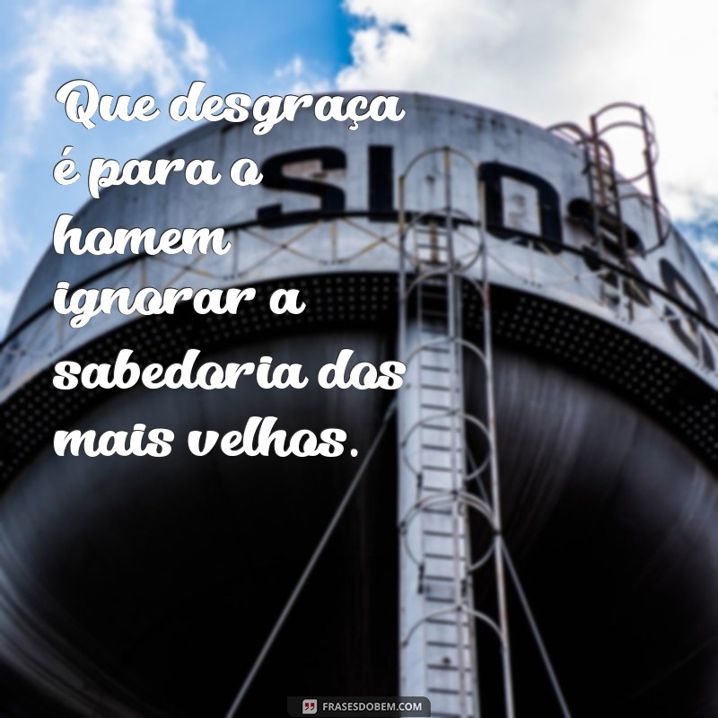 que desgraça é para o homem Que desgraça é para o homem ignorar a sabedoria dos mais velhos.