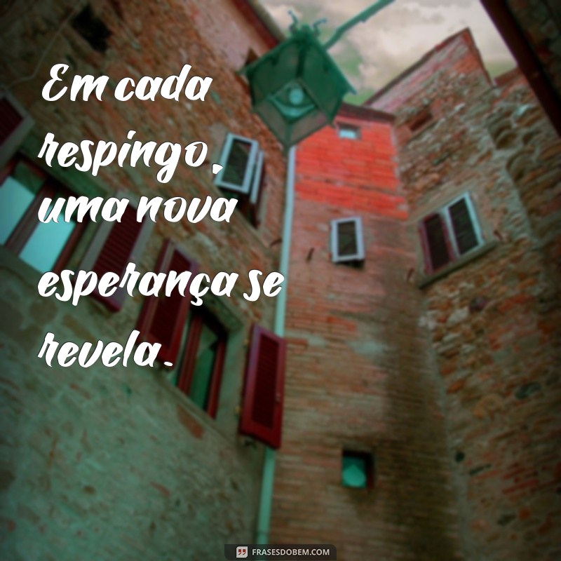 As Melhores Frases Inspiradoras para Celebrar a Beleza das Cachoeiras 