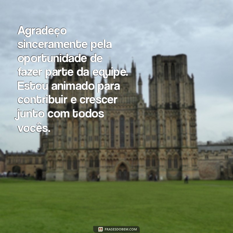 mensagem de agradecimento pela oportunidade de trabalho Agradeço sinceramente pela oportunidade de fazer parte da equipe. Estou animado para contribuir e crescer junto com todos vocês.