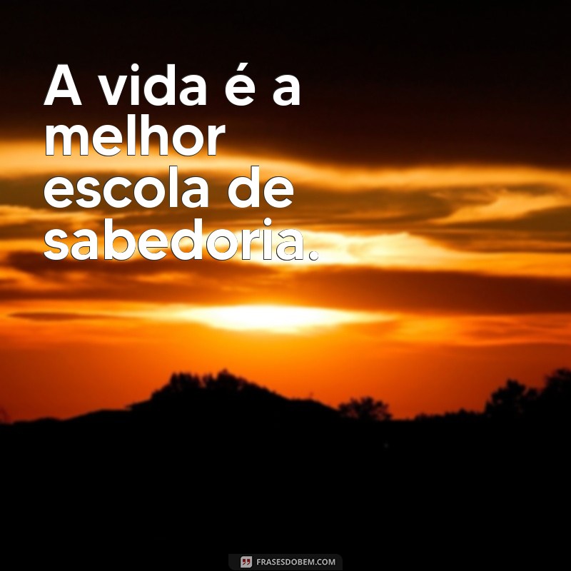 Frases de Sabedoria Curta: Inspirações para o Dia a Dia 