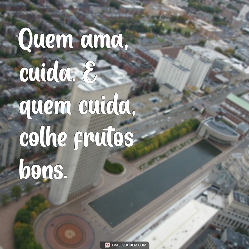 Frases Nordestinas: Sabedoria e Humor da Cultura do Nordeste 