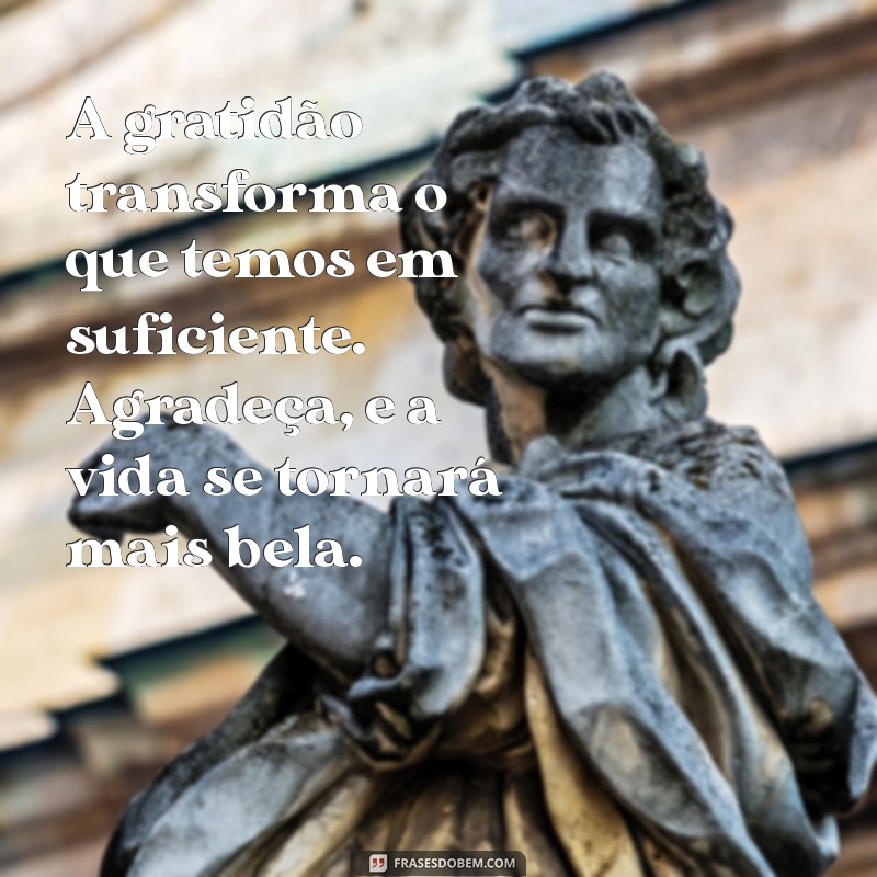 gratidão texto lindo A gratidão transforma o que temos em suficiente. Agradeça, e a vida se tornará mais bela.