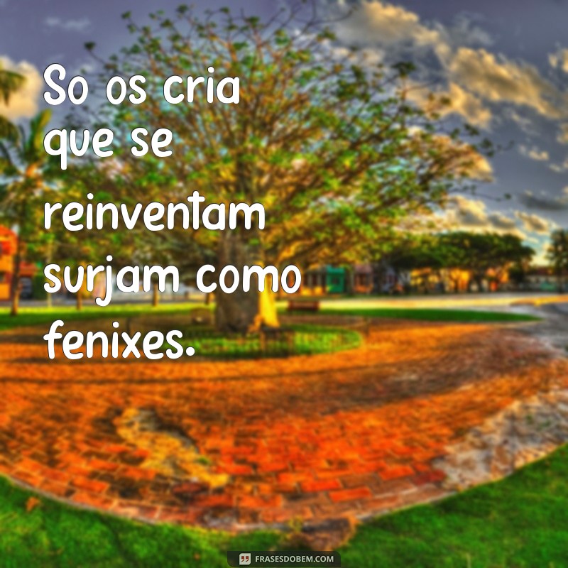 Descubra a Verdade por Trás de Só os Cria: Reflexões e Significados 