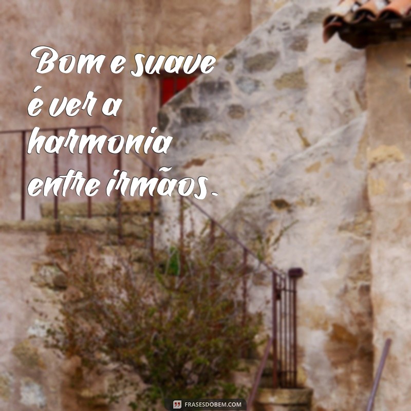 bom e suave é que os irmãos vivam em união Bom e suave é ver a harmonia entre irmãos.